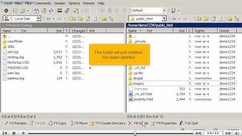 Managing files/folders in WinSCP by www.vivahost.com