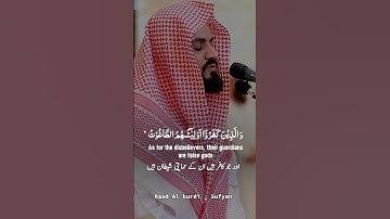 New|Raad Al kurdi Whatsapp status with Urdu English translation|سورة البقرة رعد الكردي