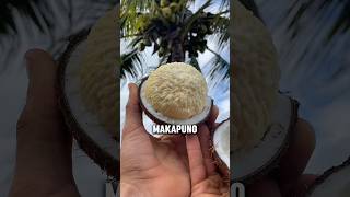 Jenis kelapa ini sangat langka