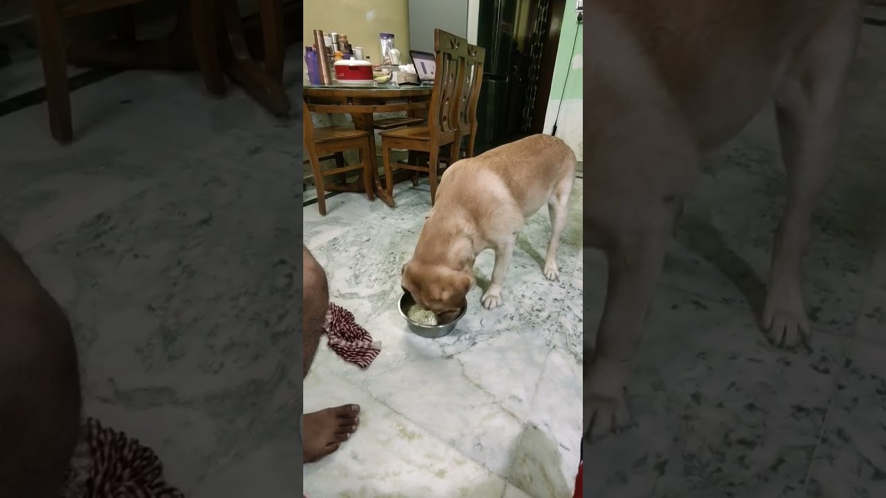 Highlights Crime Master Coco 🥰🧿