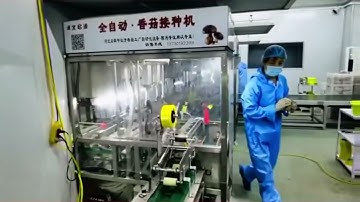 Automatic shiitake mushroom soild spawn inoculation machine