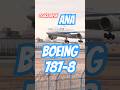 #ana #osaka #boeing787 #landing #japan #boeinglovers #伊丹空港 #スカイランドharada