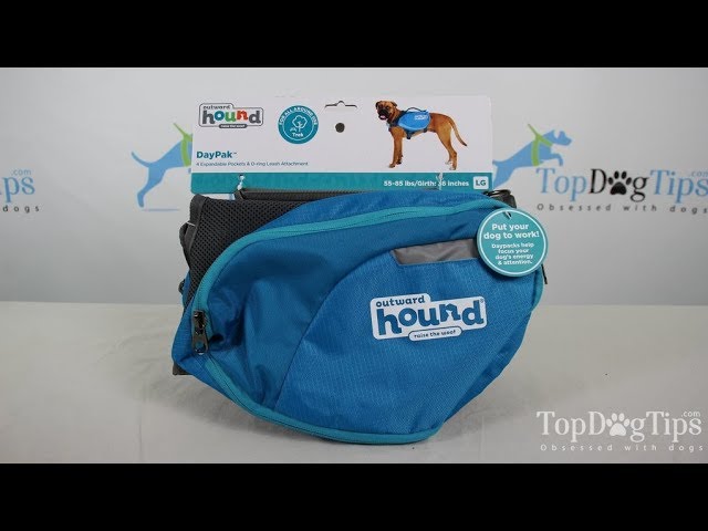 Outward Hound DayPak for Dogs