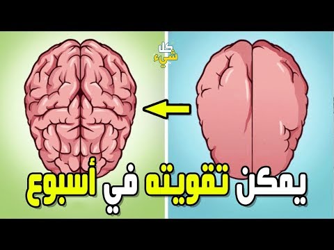 فيديو: كيف تحصل على عقلك