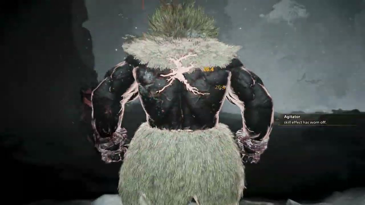 Rajang vs Jin Dahaad MH: Wilds