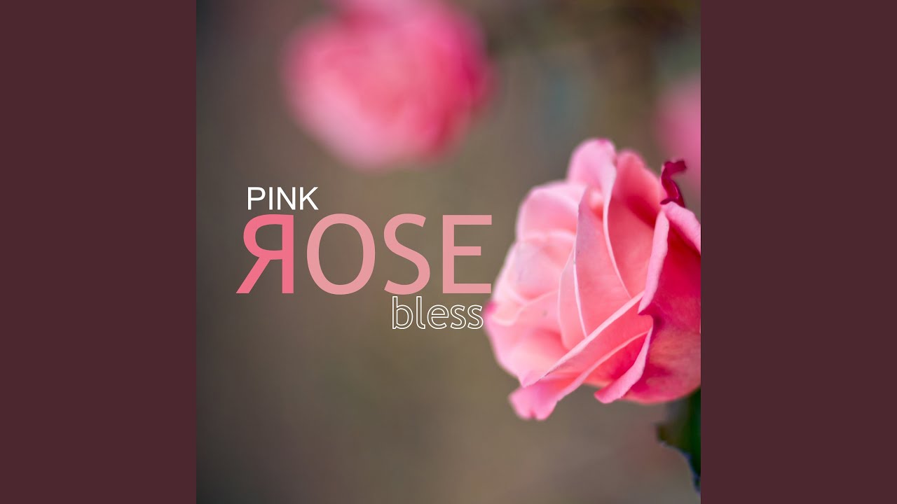 Pink Rose (Instrumental Version) - YouTube