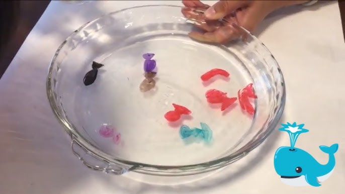 Floating Dry Erase Marker Science Experiment