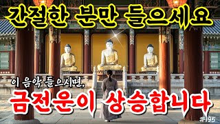돈복과 행운 폭발!💰 듣는 순간 재물운 터진다! 기적의 부처님 파동음악! 돈고통은 그만🔥 돈생길 팔자로 금전복! no195 #행운주파수 #금전운  #불교음악 #행운음악 #명상음악