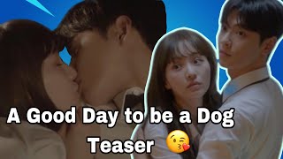 A Good Day to be a Dog Teaser (Spoiler) | ft. Cha Eun Woo