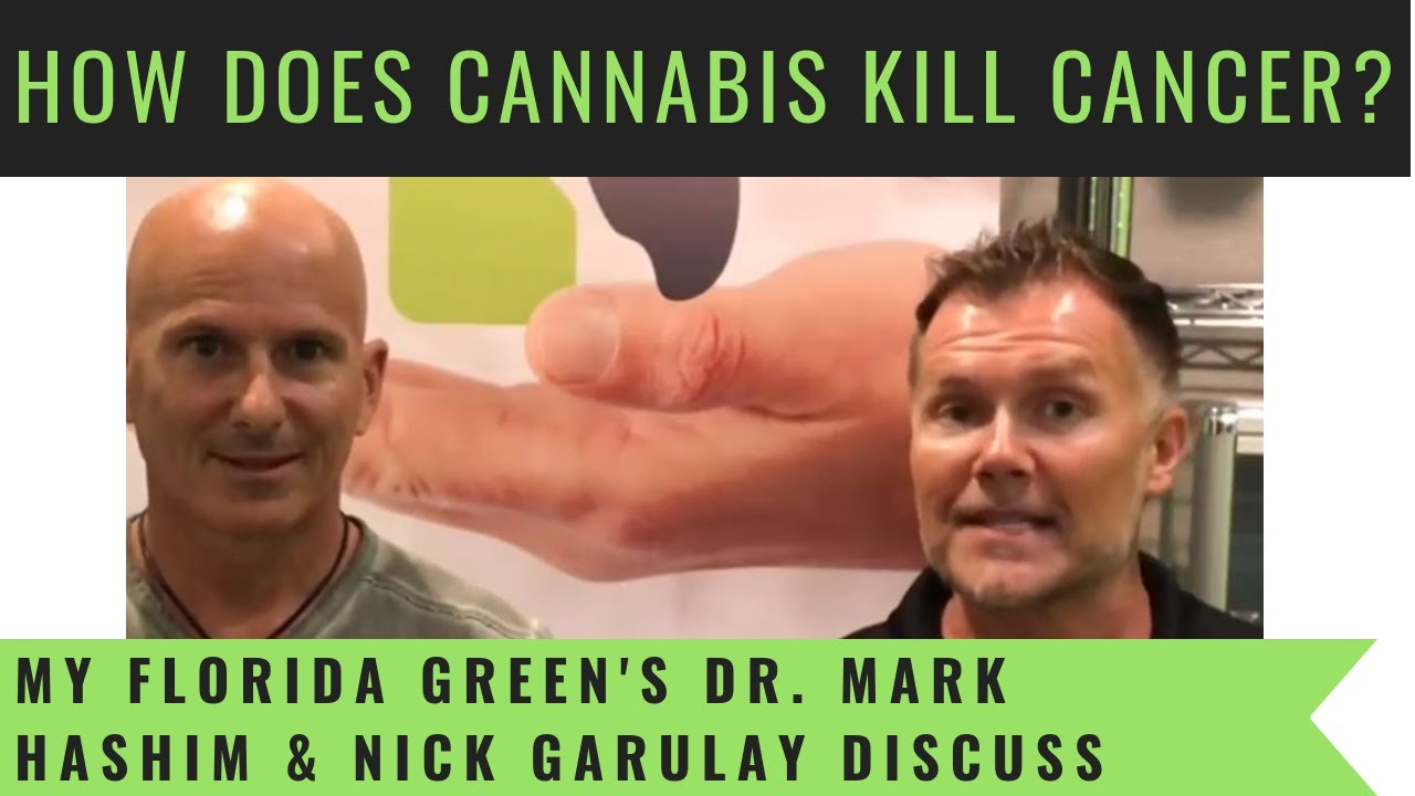 Can Marijuana Kill Cancer? Dr. Mark Hashim and Nick Garulay discuss