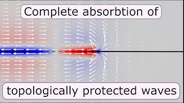 Complete absorption of topologically protected waves - Supplementary Movie