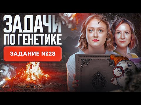 Все задачи по генетике | Задание №28 | ЕГЭ-2024 по биологии