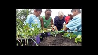 Mobile Planter