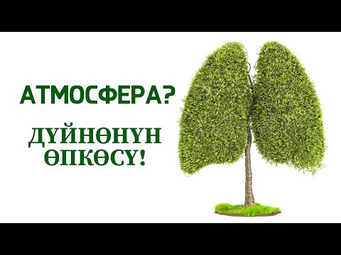 Video: Дүйнөнүн космодромдору. 1-бөлүк