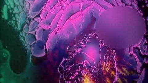 FreeFormLiquid-001.AVI