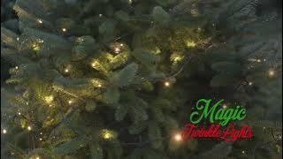 Prettiest twinkle lights ever made! Finally found the perfect soft twinkle lights