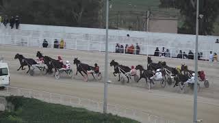 Vidéo de la course PMU PREMI MENORCA