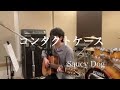 コンタクトケース / Saucy Dog 弾き語り(key -3) 【covered by むぎお】
