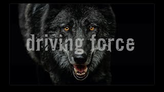 Driving Force - Wounded Animal