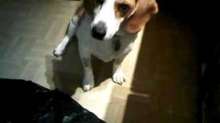 20100131 - Tricks.3GP.avi