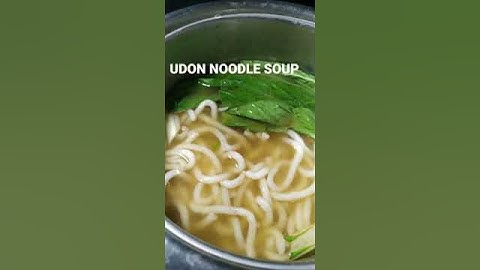 UDON NOODLE SOUP