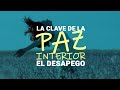 La Clave de la Paz Interior: El Desapego a TODO