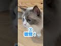 【わんわんにゃんにゃんの日】意外と知らない犬猫の違い7選
