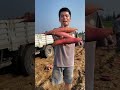Cuộc sống thật không dễ dàng p182 #shorts