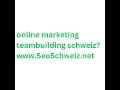 SeoSchweiz.net Seo online marketing team building schweiz