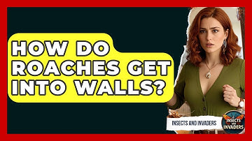 How Do Roaches Get Into Walls? - Insects and Invaders