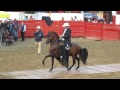 Campeonato de caballos trote y galope. Sibaté Cundinamarca