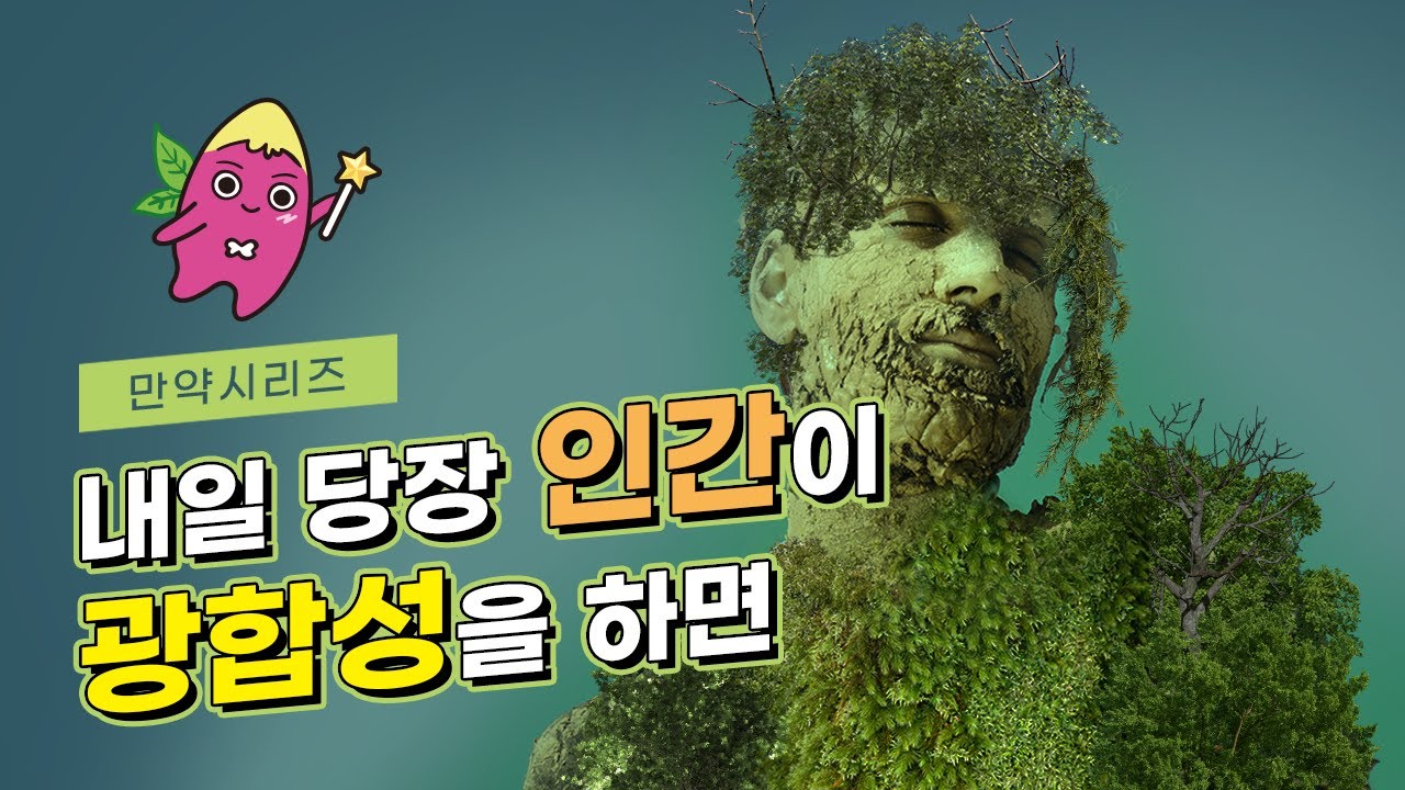 ? 만약 내일 당장 인간이 광합성을 한다면 무슨 일이 일어날까? (feat. 효율성)