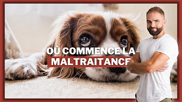 Où commence la maltraitance