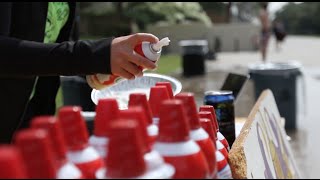 Pie an SAE (2016)