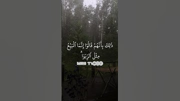 ماهر المعيقلي - سورة البقرة ( برواية حفص عن عاصم ) الأية 275
