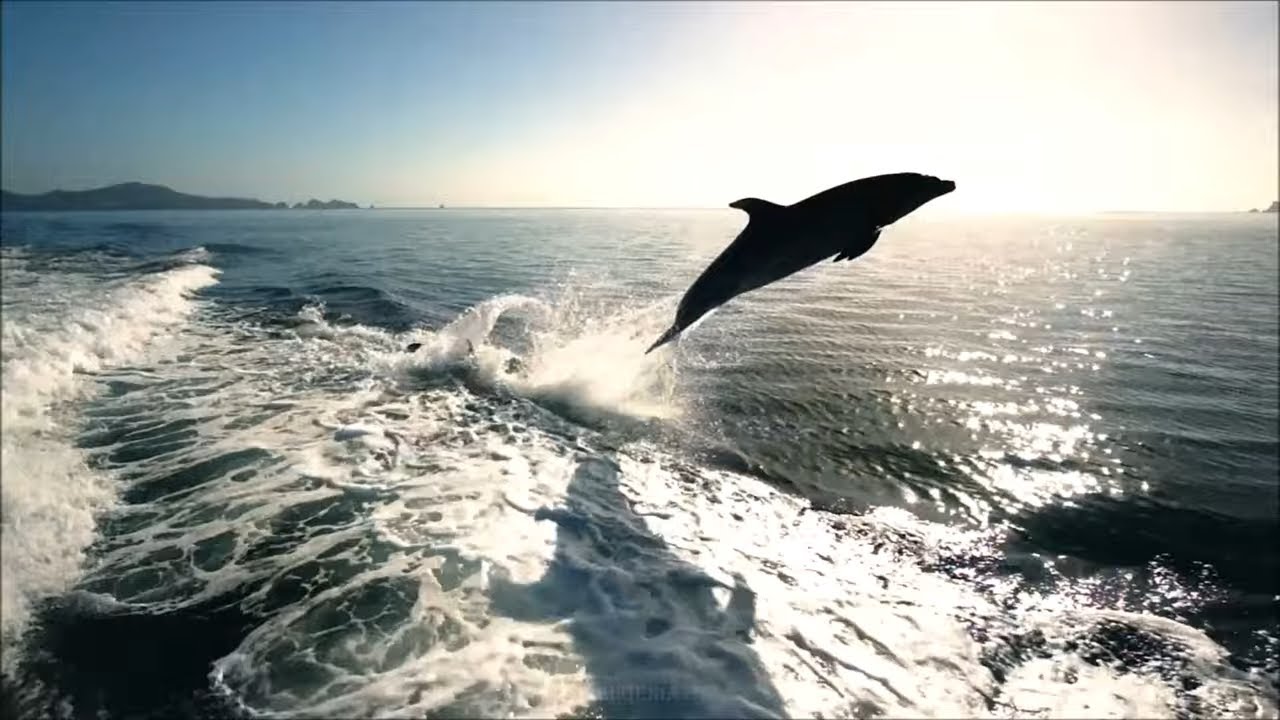 НОВИНКА! САМАЯ КРУТАЯ Эмбиент Музыка, NIDRED. Послушайте - YouTube