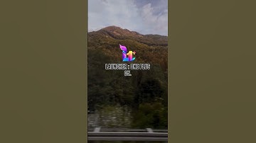 Top 10 Android Launcher in 2026 to use