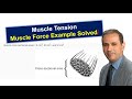 💪 How Muscle Cross-Sectional Area Affects Force Production | Muscle Tension EXAMPLE Explained!