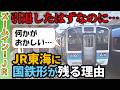 【なぜ？】"国鉄形が引退したはず"のJR東海に211系が残っていました…【中央西線/ズームインJR】
