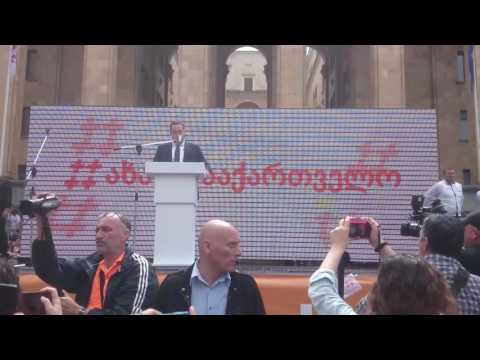 სამოქალაქო პლატფორმა \"ახალი საქართველოს\" დაფუძნების ღონისძიება - გიორგი ვაშაძე