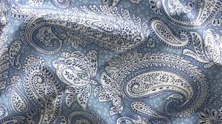 Paisley Positivity (light blue & white) printed textile design by Patrick Moriarty.