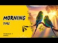 Good Morning | The Budgie Diaries