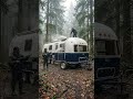 Abandoned in the Forest, Rebuilt Into Luxury! 🌲🔥 #youtubeshorts #beforeandafter #timlapse