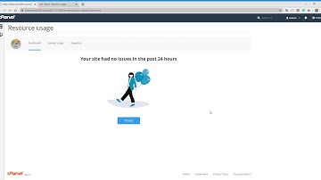 cPanel Resource Usage