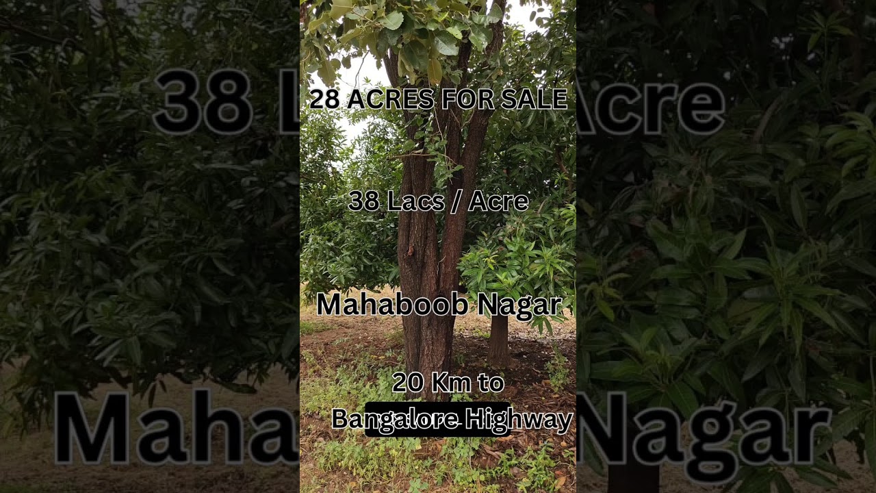 28 ACRES FOR SALE | 38 LACS PER ACRE | 20 KM TO BANGALORE HIGHWAY | MAHABUBNAGAR