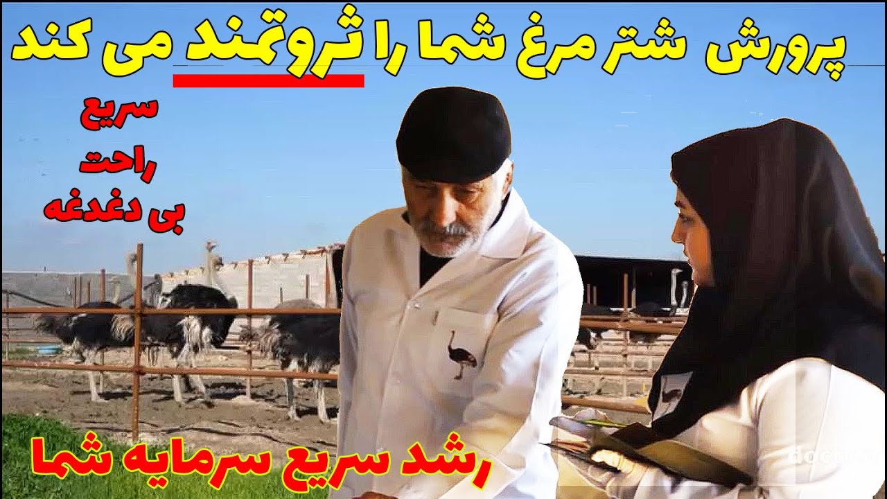 پرورش شترمرغ - 20 دقیقه طلایی