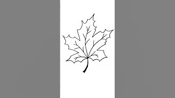 Eenvoudige bladtekening met potlood #reels #kunst #viraal #trending #blad #shorts