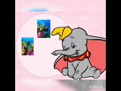 خيرات البحر