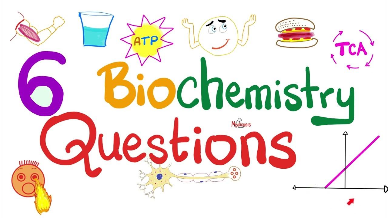 Biochemistry Questions Enzyme Kinetics Graphs Metabolism YouTube biochemistry-questions-enzyme-kinetics-graphs-metabolism-youtube