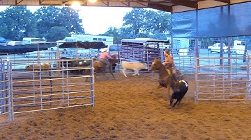 HB Chulas Bar Smart - sorting practice - 8 head - Valley View Ranch